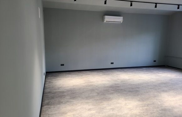 Modernizacja Biblioteki im. Stefanyka we Lwowie